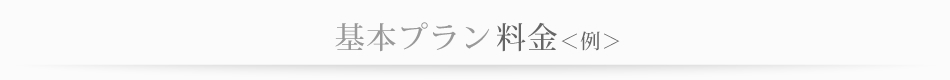 基本プラン料金